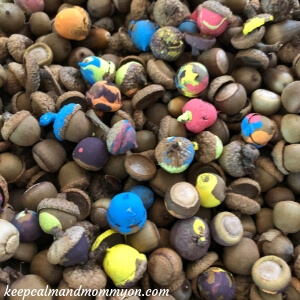 Acorn Sensory Bin