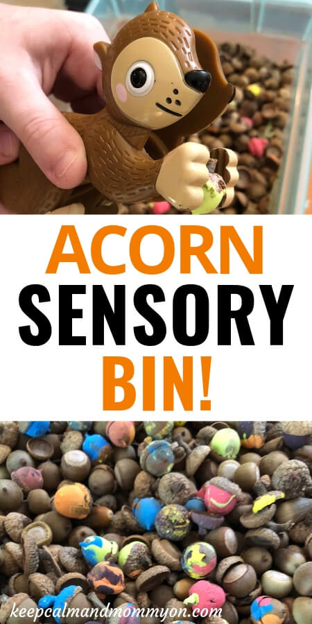 Acorn Sensory Bin