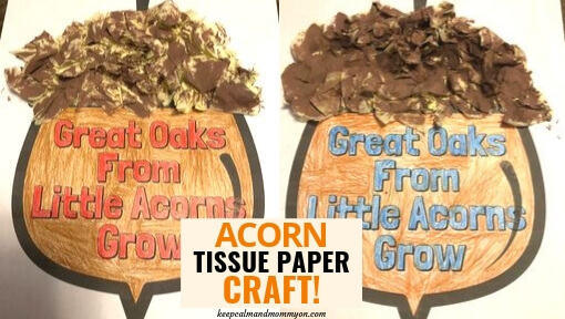 Acorn Tissue Paper Craft