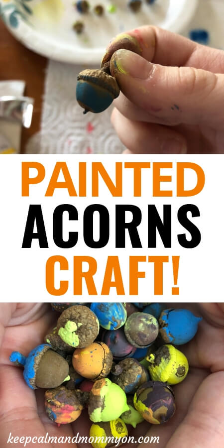 Painted Acorns