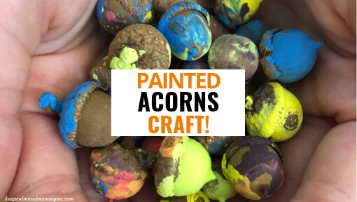 Painted Acorns Craft!