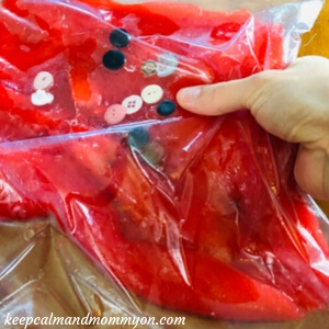 Sensory Bags