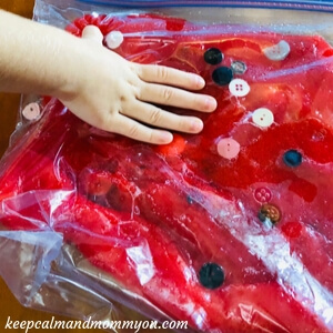 Sensory Bags