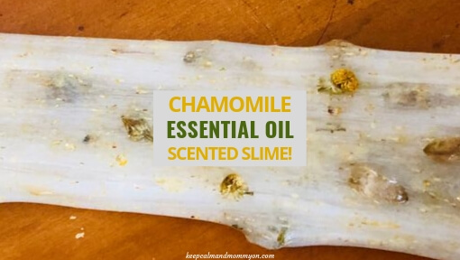 Chamomile Scented Slime