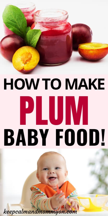 Plum Baby Food