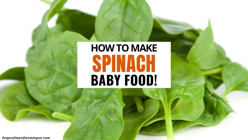 How to Make Spinach Baby Food