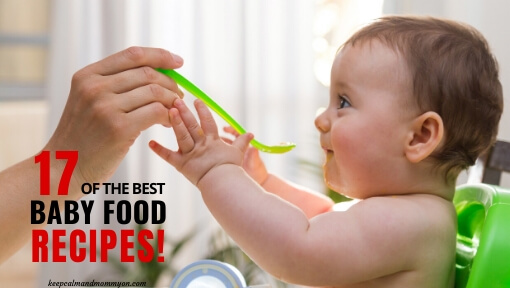 The Best Baby Food Recipes!