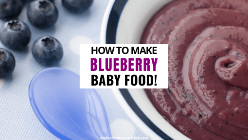 Blueberry Baby Food