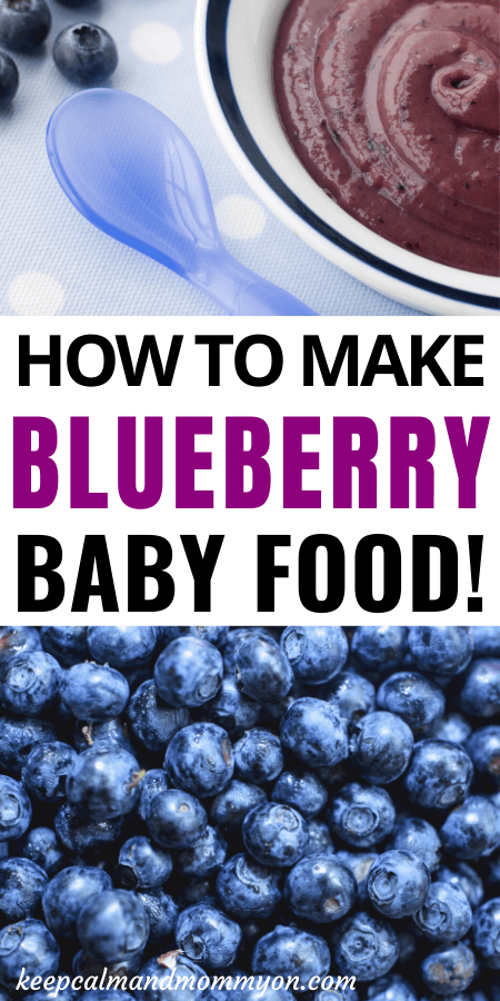 Blueberry Baby Food