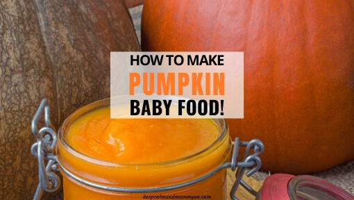 Pumpkin Baby Food